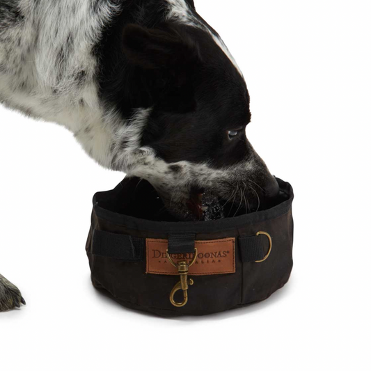🐾 Adventure-Ready Hydration: Why Every Dog Needs a Roll-Up Oilskin Water Bowl