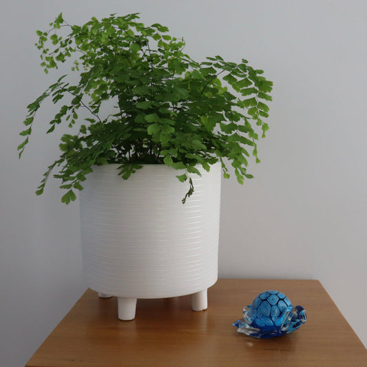 White Ivory Stoneware Planter - The Golden Apple NZ