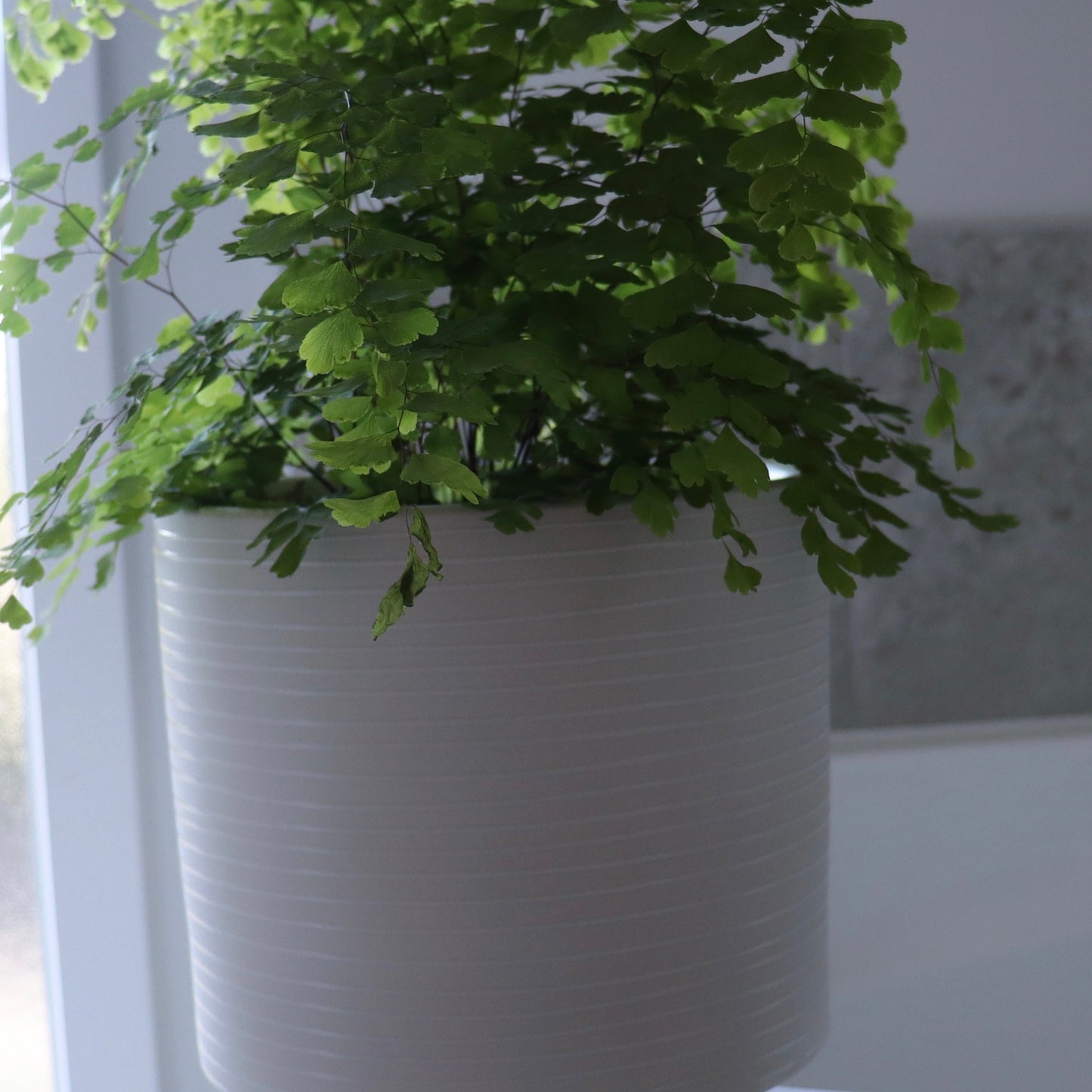 White Ivory Stoneware Planter - The Golden Apple NZ