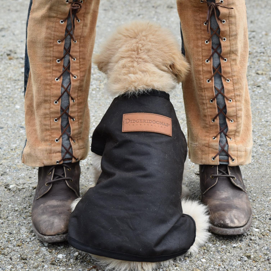 Woollen Dog Coats - The Golden Apple NZ