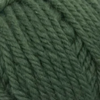 Ashley 8ply Merino Wool - Forest - The Golden Apple NZ