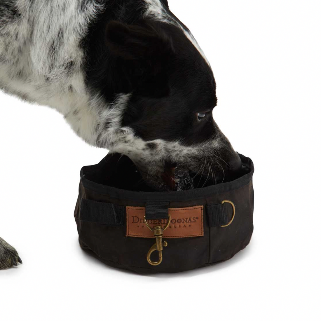 🐾 Adventure-Ready Hydration: Why Every Dog Needs a Roll-Up Oilskin Water Bowl