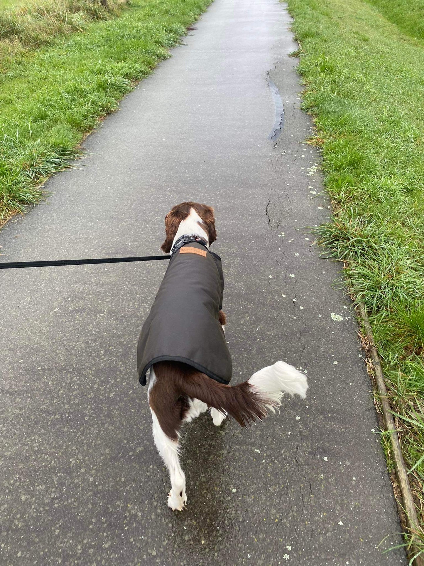 Woollen Dog Coats - The Golden Apple NZ