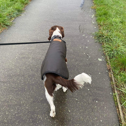 Oilskin Woollen Dog Coats