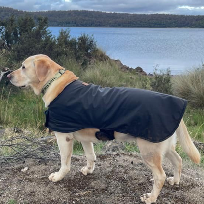 Woollen Dog Coats - The Golden Apple NZ