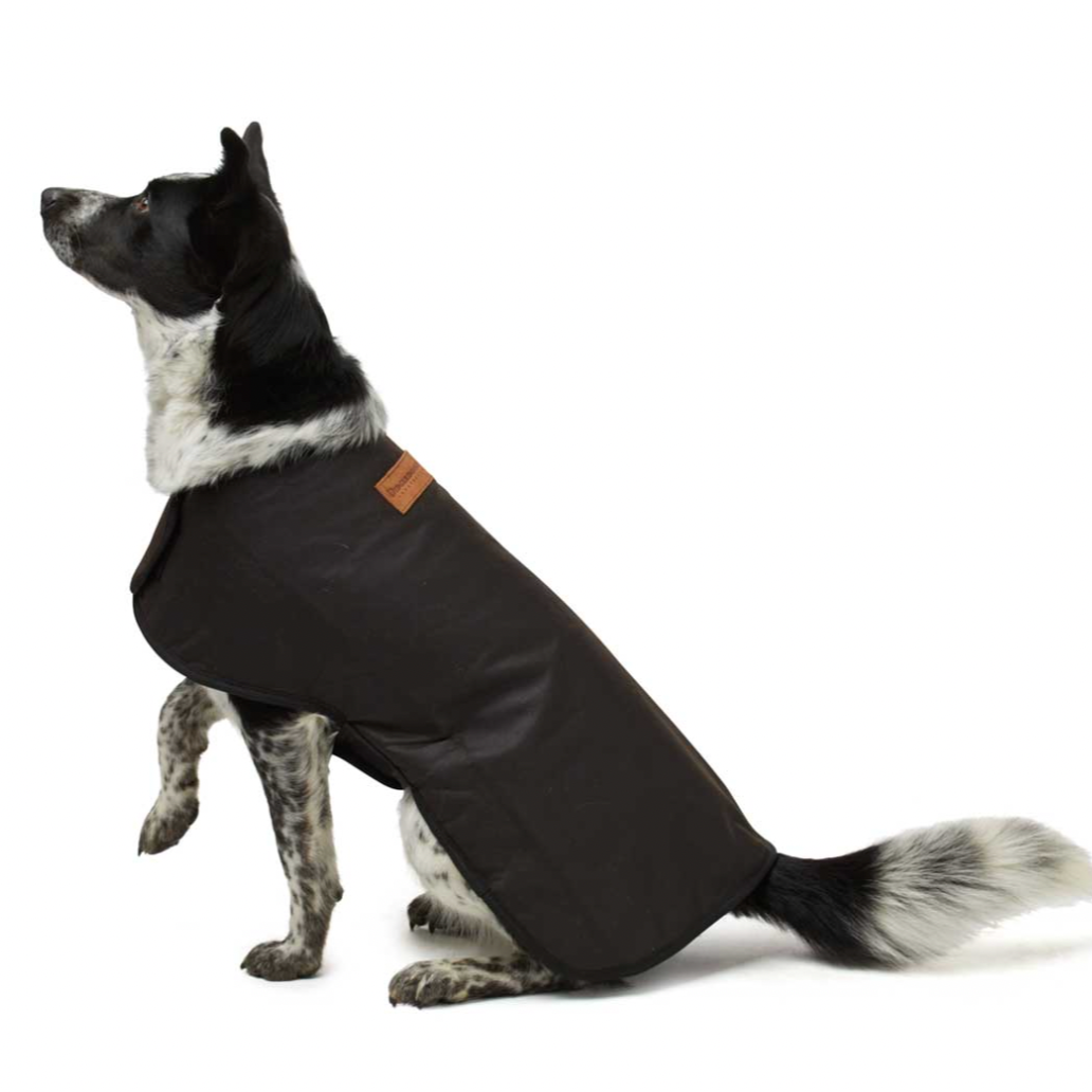 Woollen Dog Coats - The Golden Apple NZ