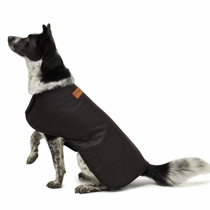 Woollen Dog Coats - The Golden Apple NZ